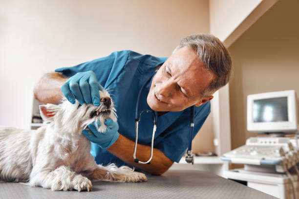 Best Emergency Dentist Near Me  in Atchison, KS